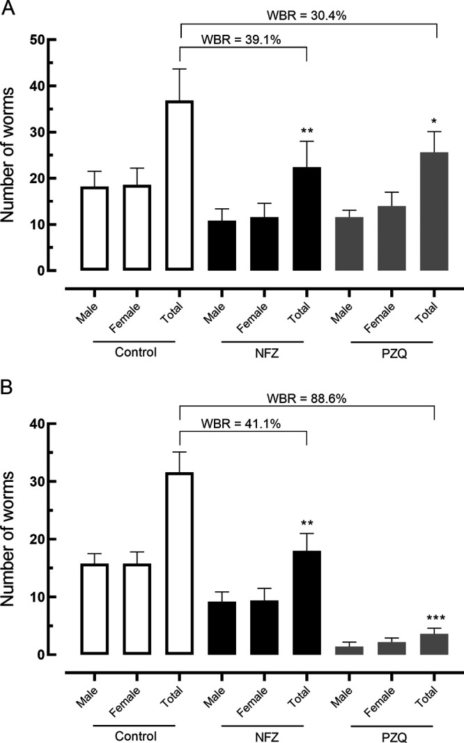 FIG 3