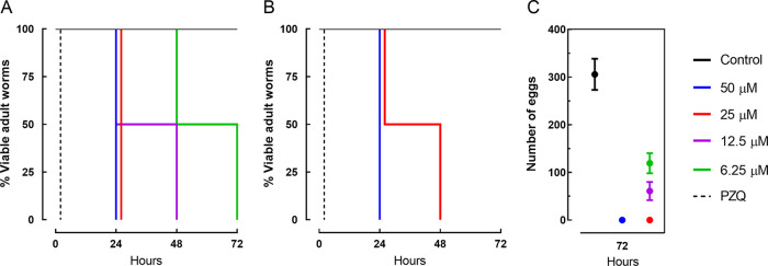 FIG 1