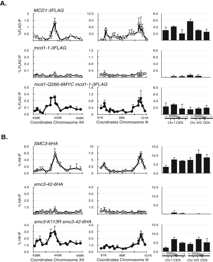 FIGURE 6: