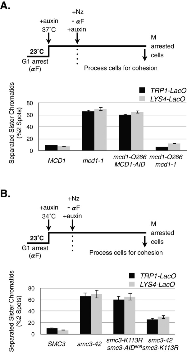 FIGURE 4: