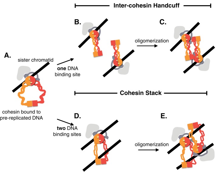 FIGURE 7: