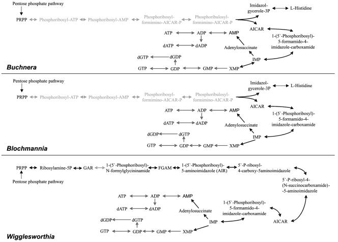 FIG. 9.