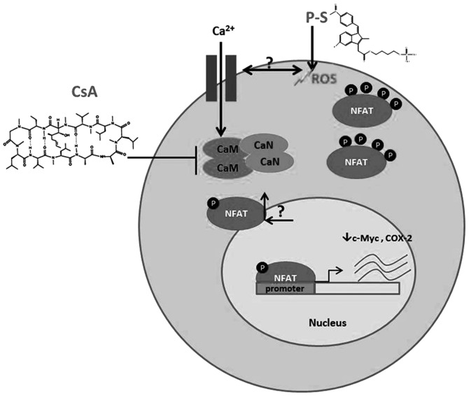 Figure 6.