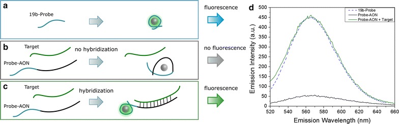 Fig. 1