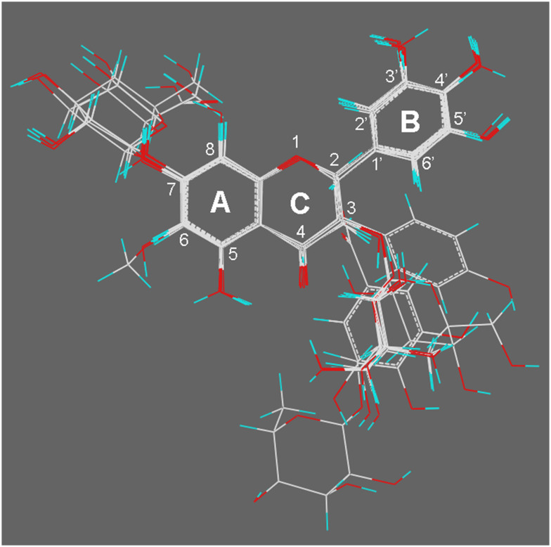 Fig. 5