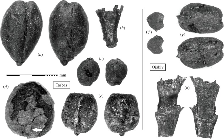 Figure 3.