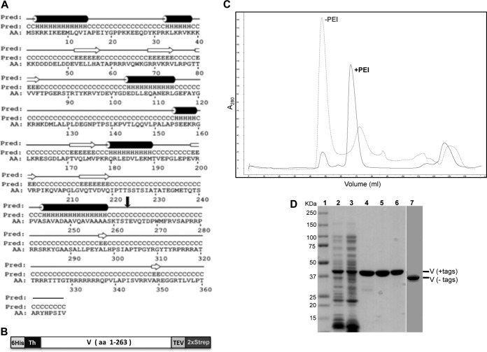 FIG 1