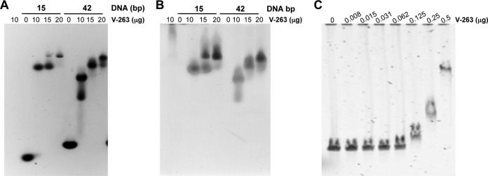 FIG 3