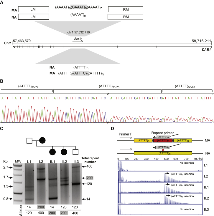 Figure 3