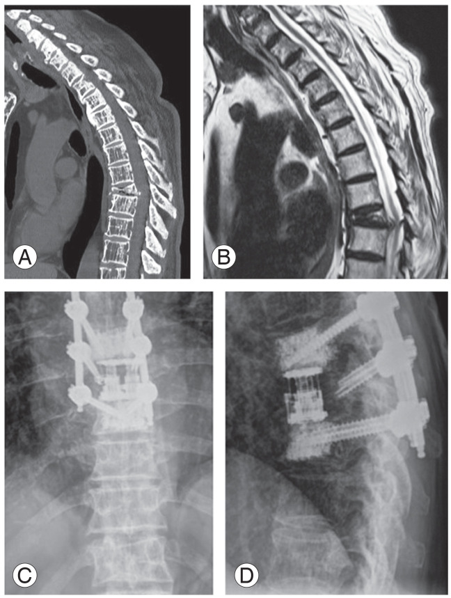 Fig. 5