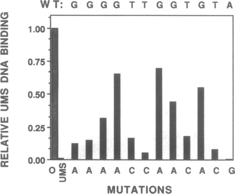 graphic file with name pnas01089-0240-a.jpg