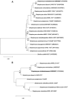 FIG 1