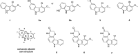 FIG 6