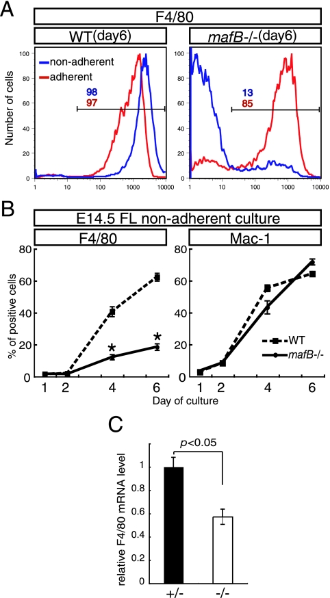 FIG. 7.