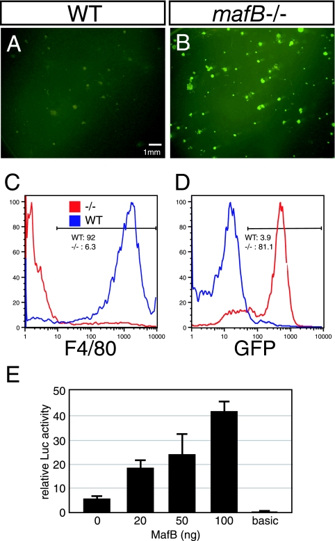 FIG. 8.