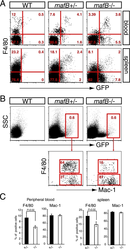 FIG. 6.