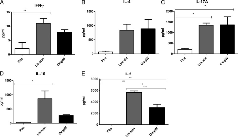 FIG 6