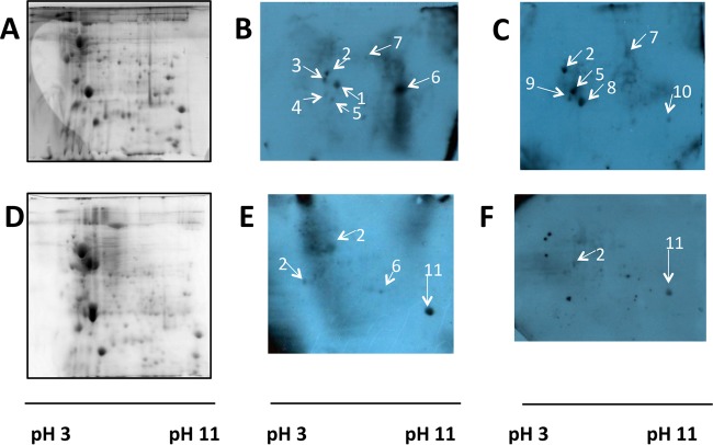 FIG 3