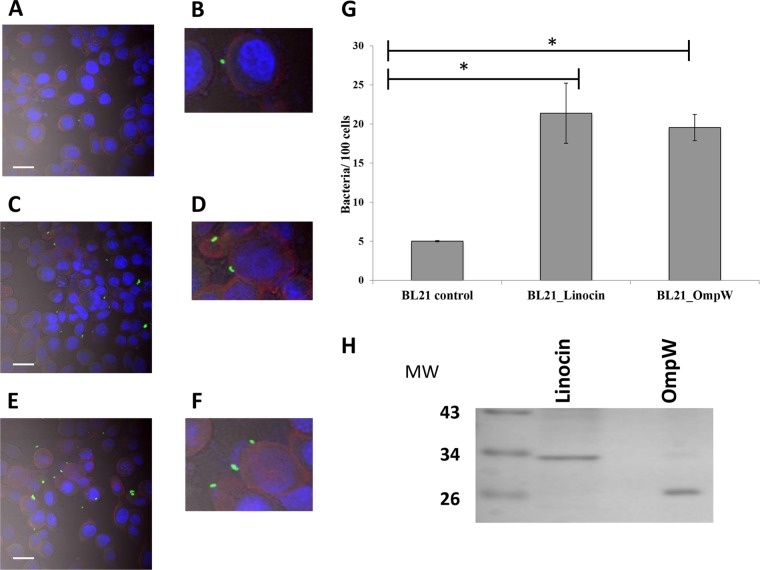 FIG 4