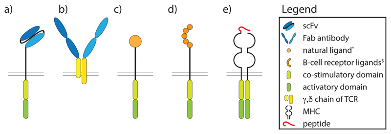 Fig. 2