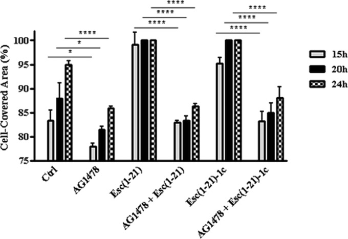 FIG 5