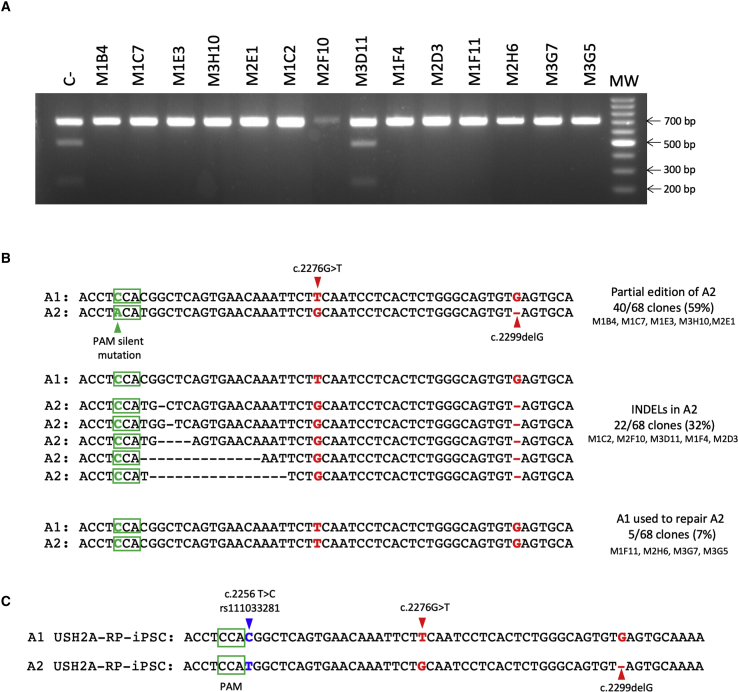 Figure 3