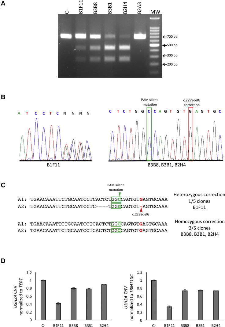 Figure 2