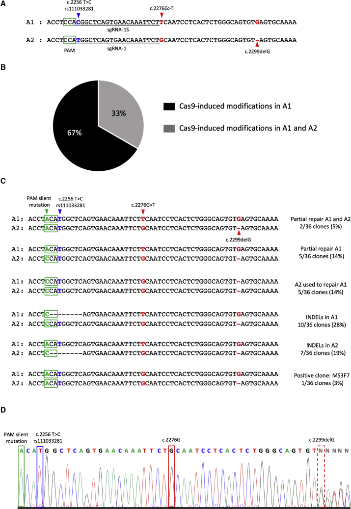 Figure 4