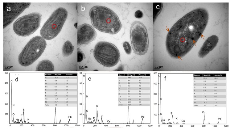 Figure 9