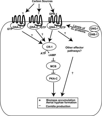 FIG. 6.