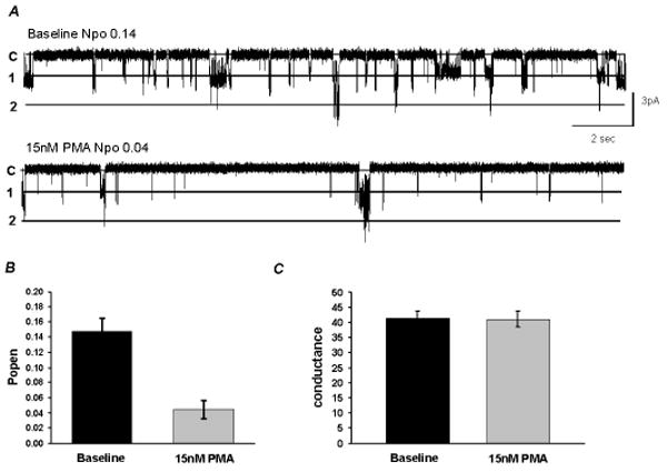 Fig 6