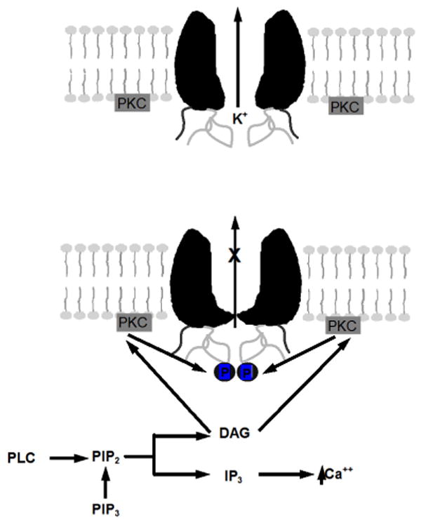 Fig 9