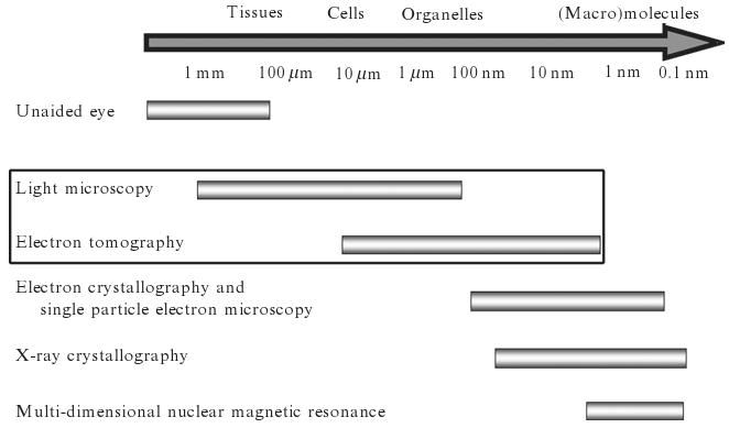 Figure 2.1