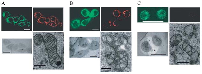 Figure 2.2