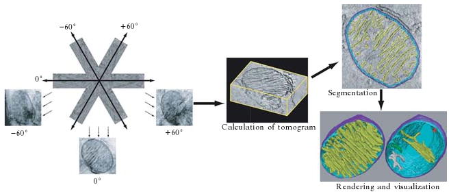 Figure 2.3