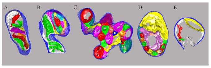 Figure 2.4