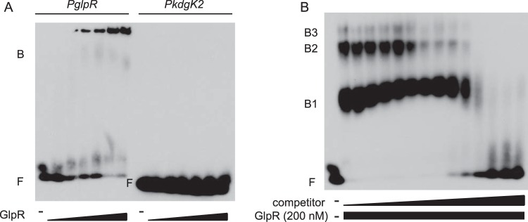 FIG 6