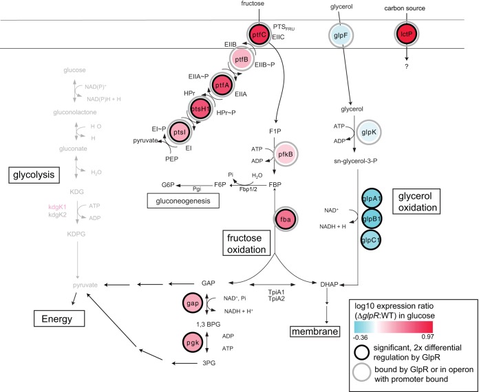 FIG 10