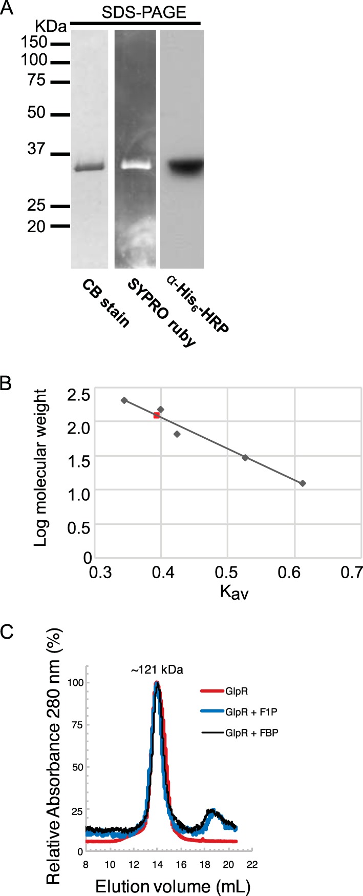 FIG 5