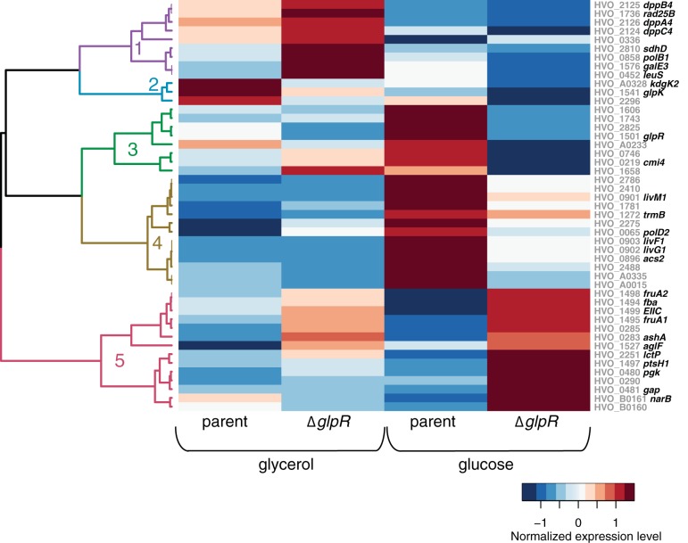 FIG 3