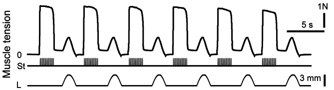 Fig. 3