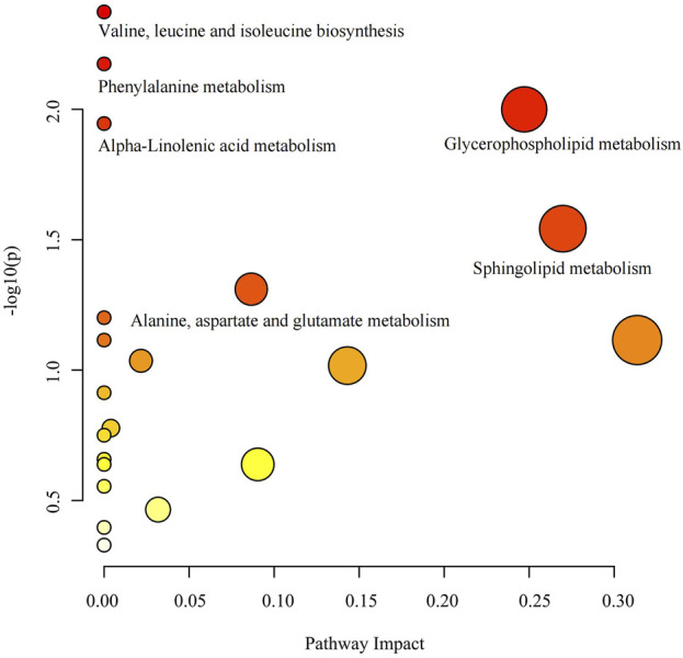 FIGURE 6