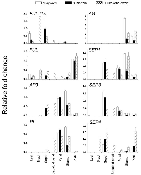 Figure 5