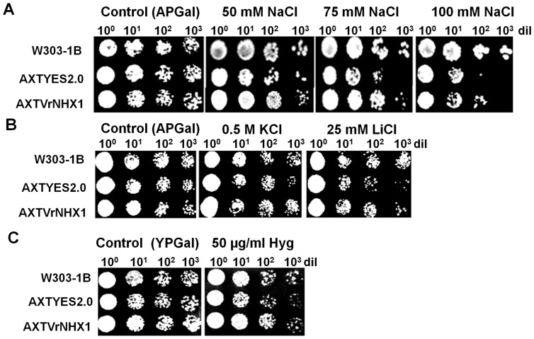 Figure 4