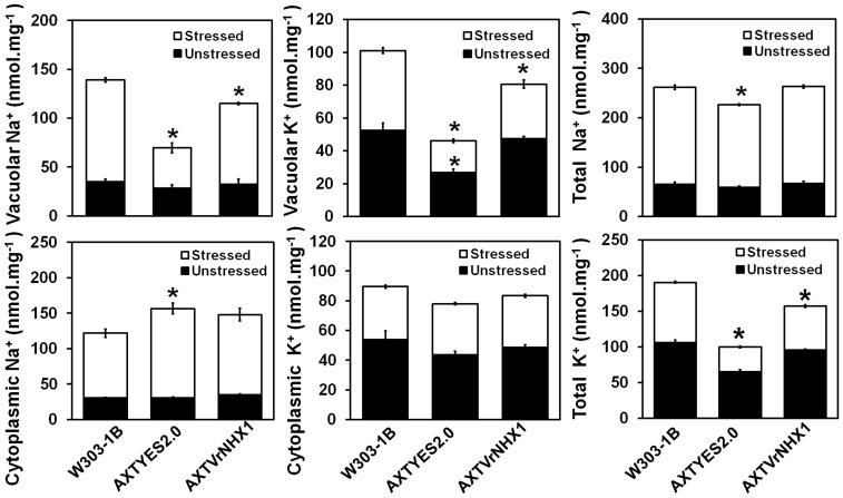 Figure 5