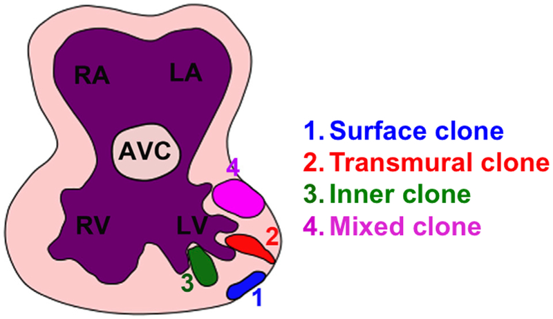 Figure 4.