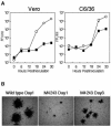 FIG. 4.