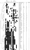 FIG. 2.