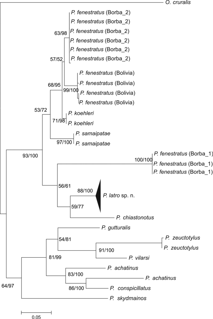 Figure 2.