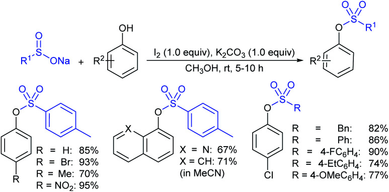 Scheme 262